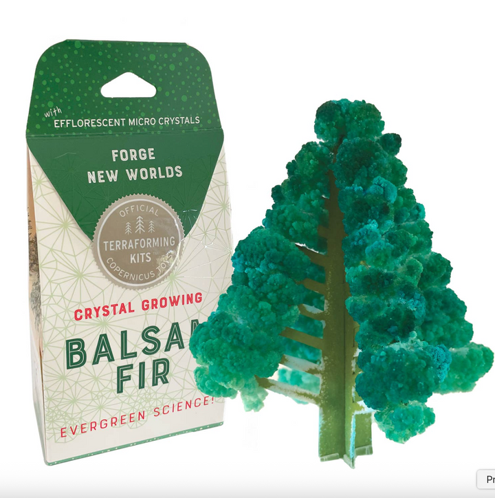 Crystal Growing: Balsam Fir