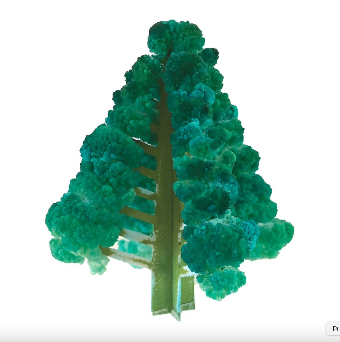 Crystal Growing: Balsam Fir