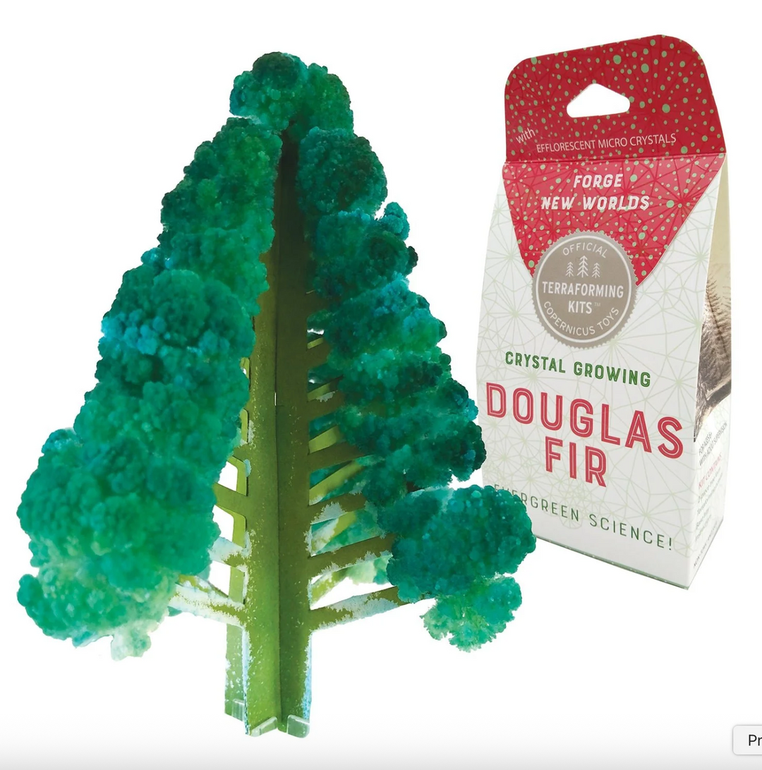 Crystal Growing Douglas Fir