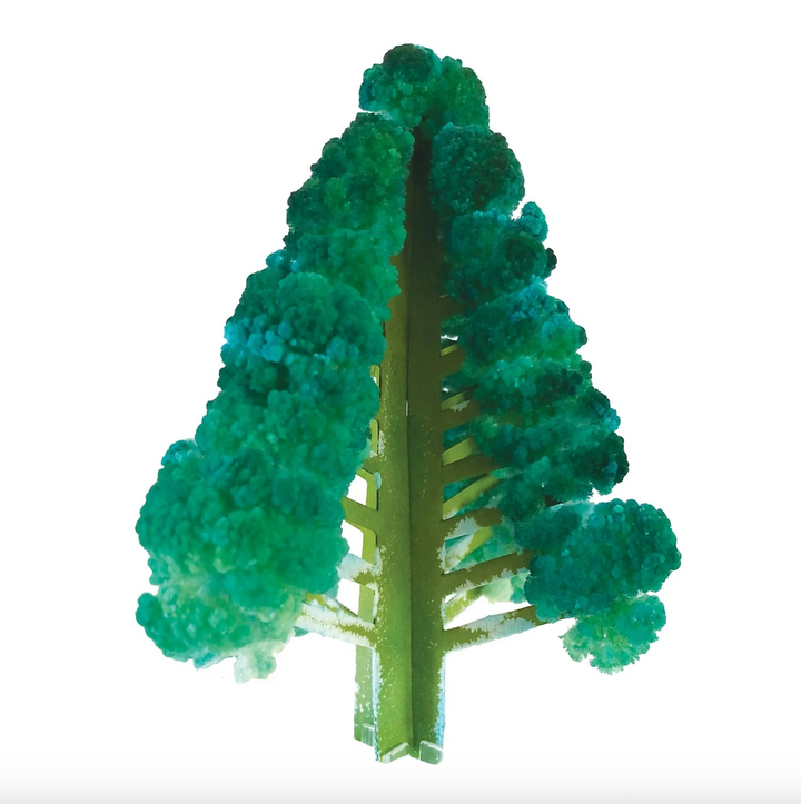 Crystal Growing Douglas Fir