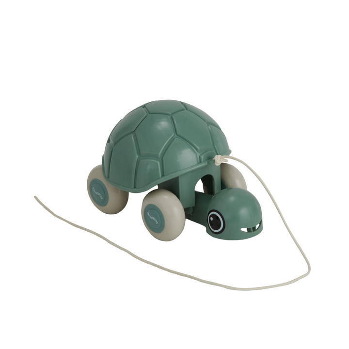 Re:line - Pull Along Turtle