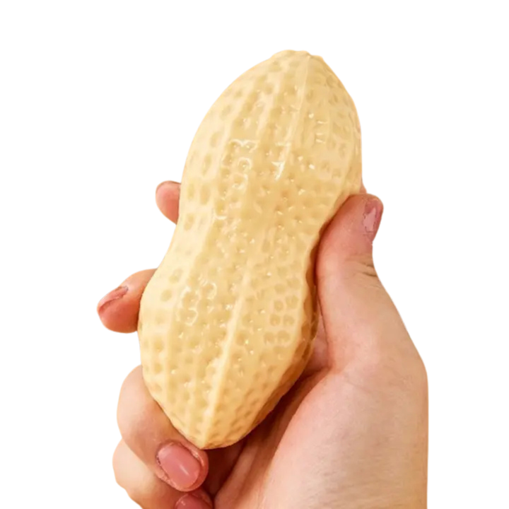 Peanut Mochi Squishy