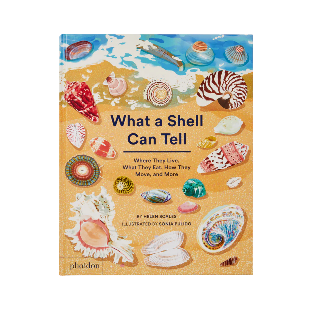 What A Shell Can Tell