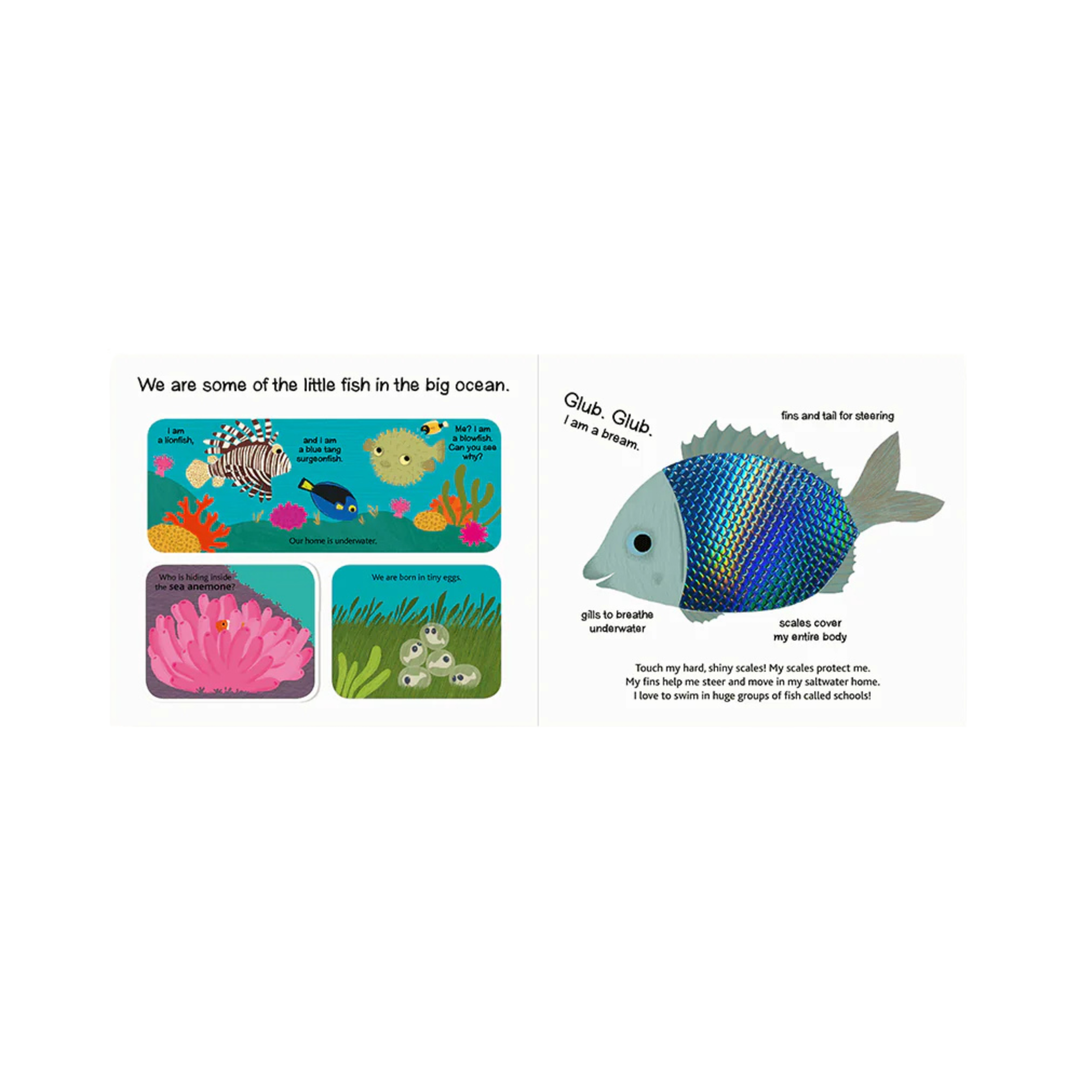 Touch and Explore: The Ocean