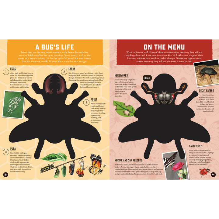 Inside Out Insect