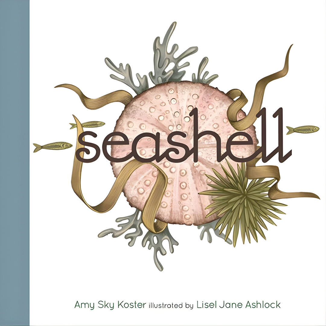 Seashell