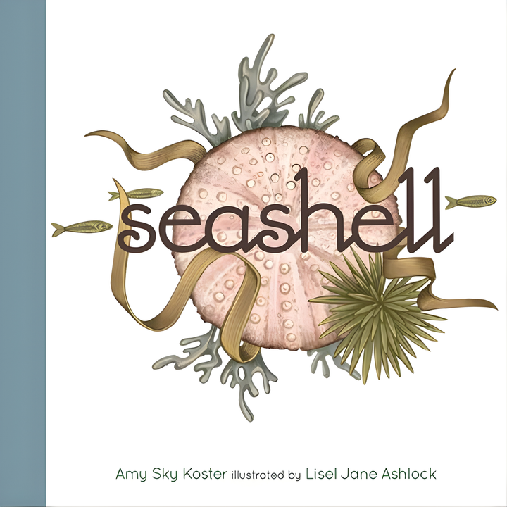 Seashell