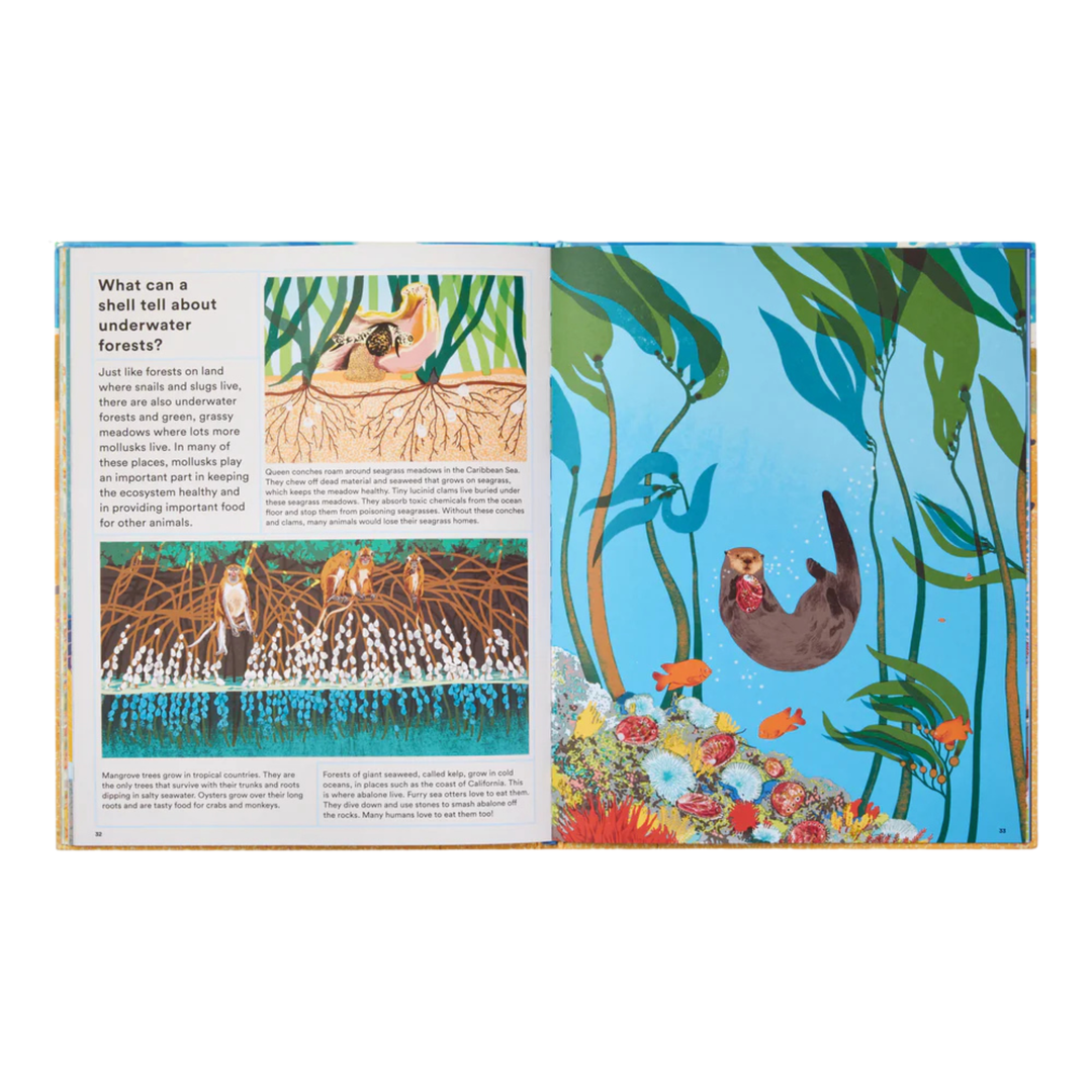 What A Shell Can Tell