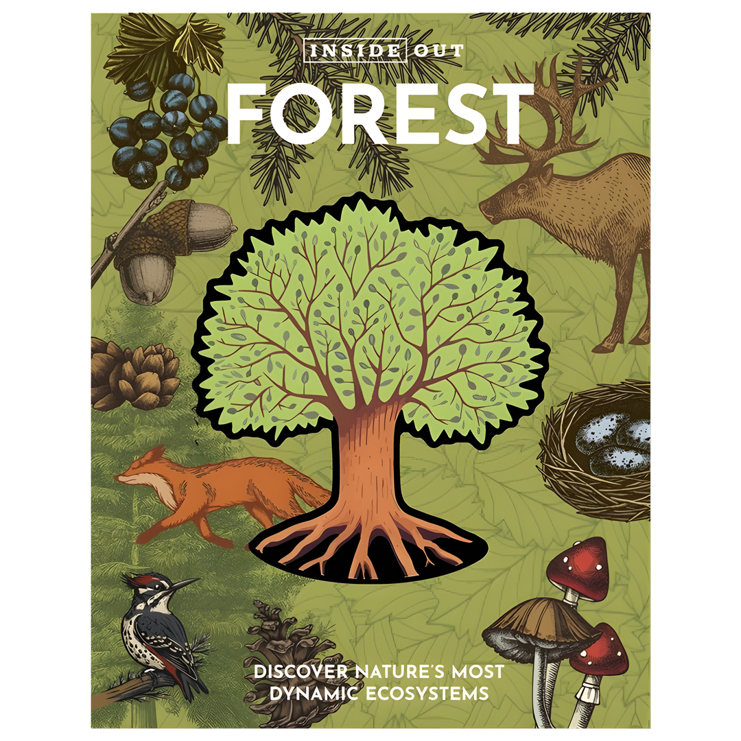 Inside Out Forest