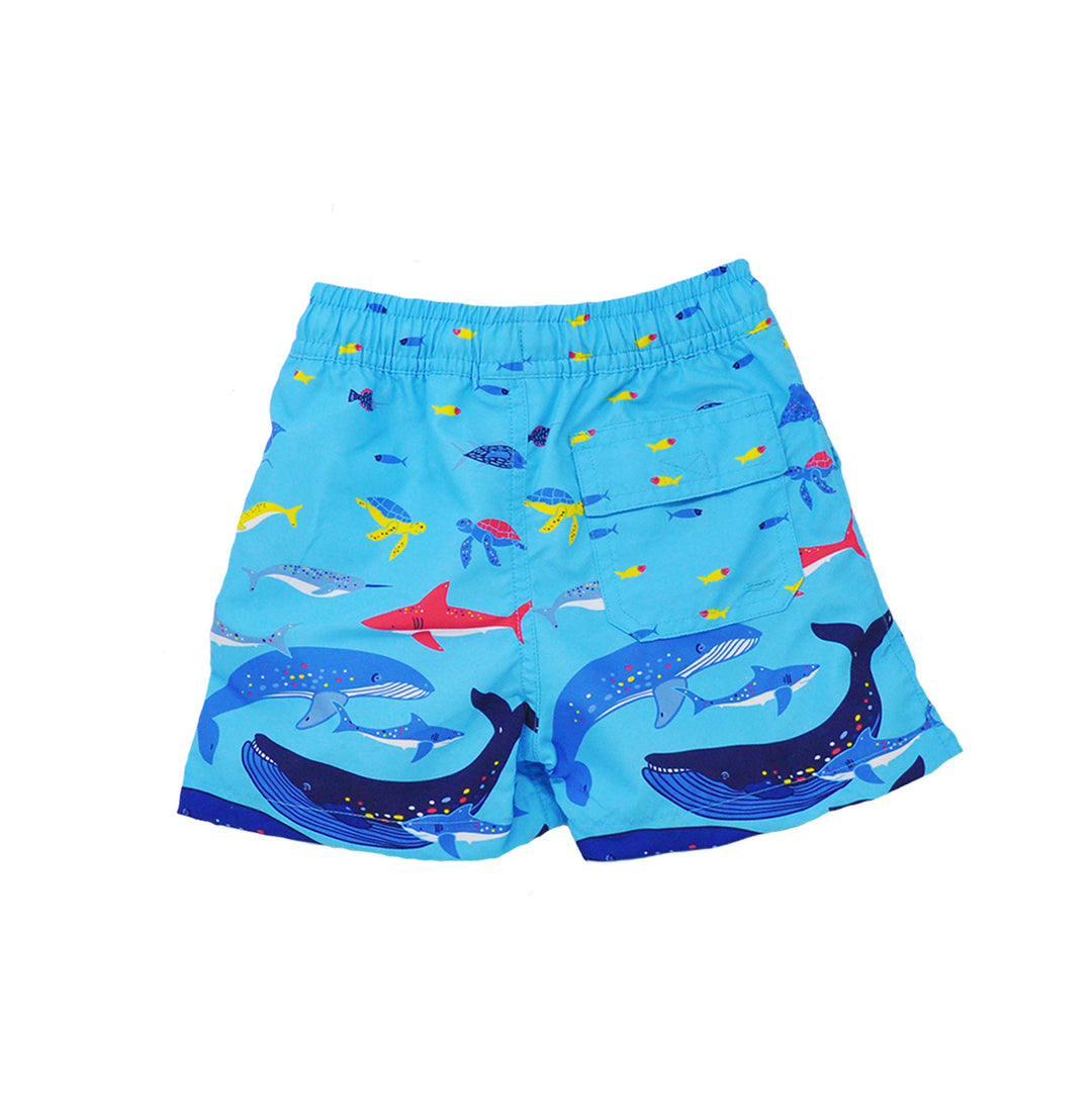 Wesley Swim Trunks - Ocean Fiesta