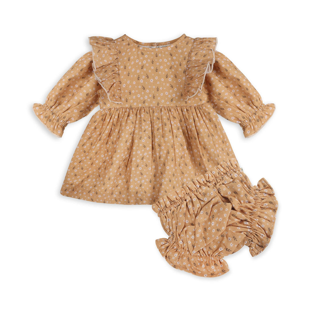 Ruffle Baby Dress & Bloomer