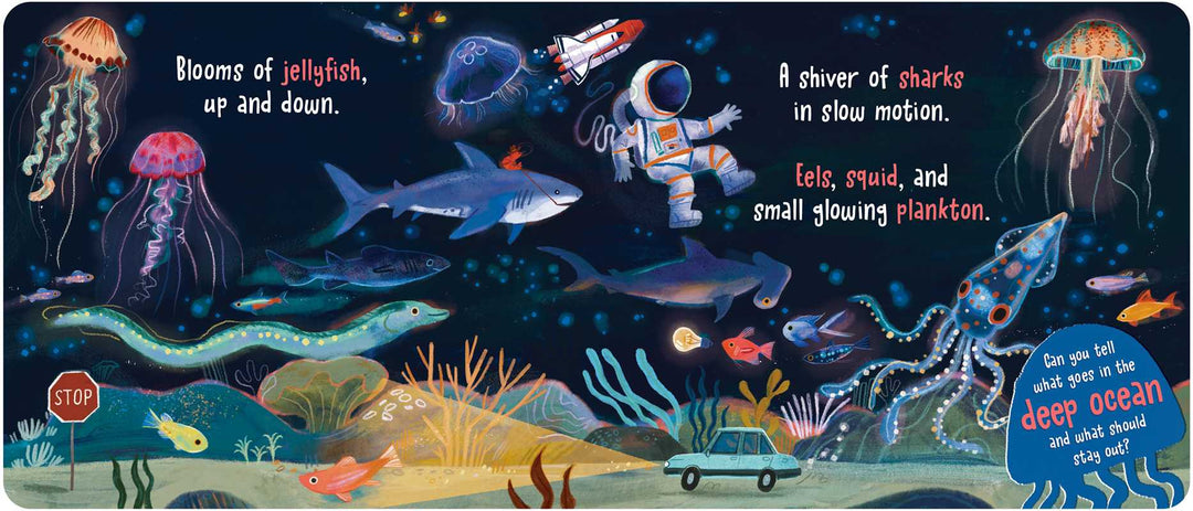 What Goes in the Ocean?