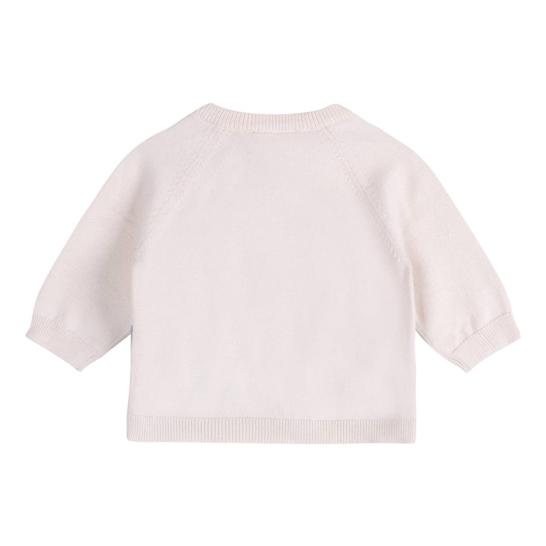 Surf Embroidered Knit Pullover