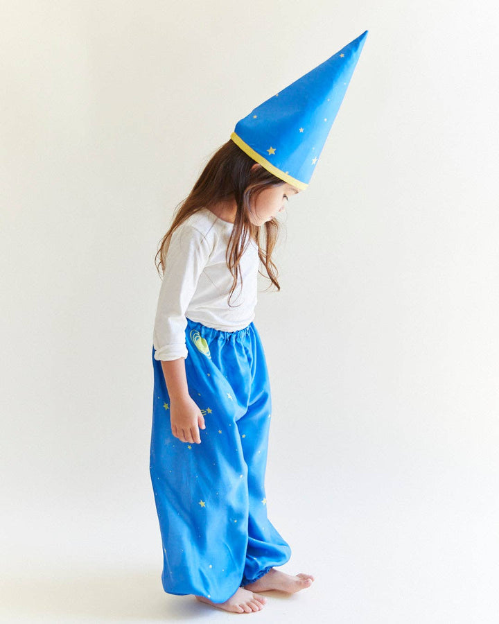 Silk Star Wizard Hat