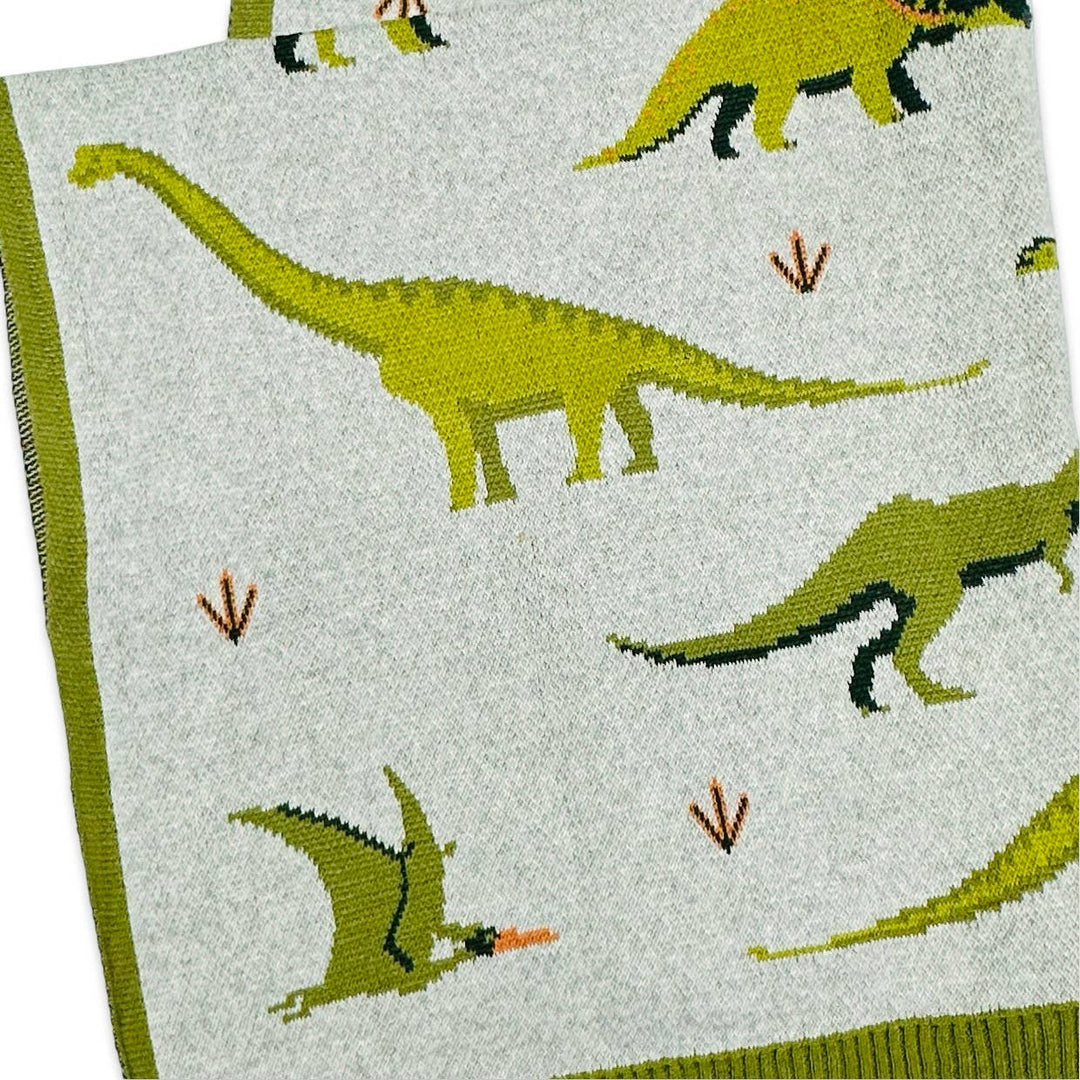 Green Dinosaur - OrganicJacquard Sweater Knit Baby Blanket