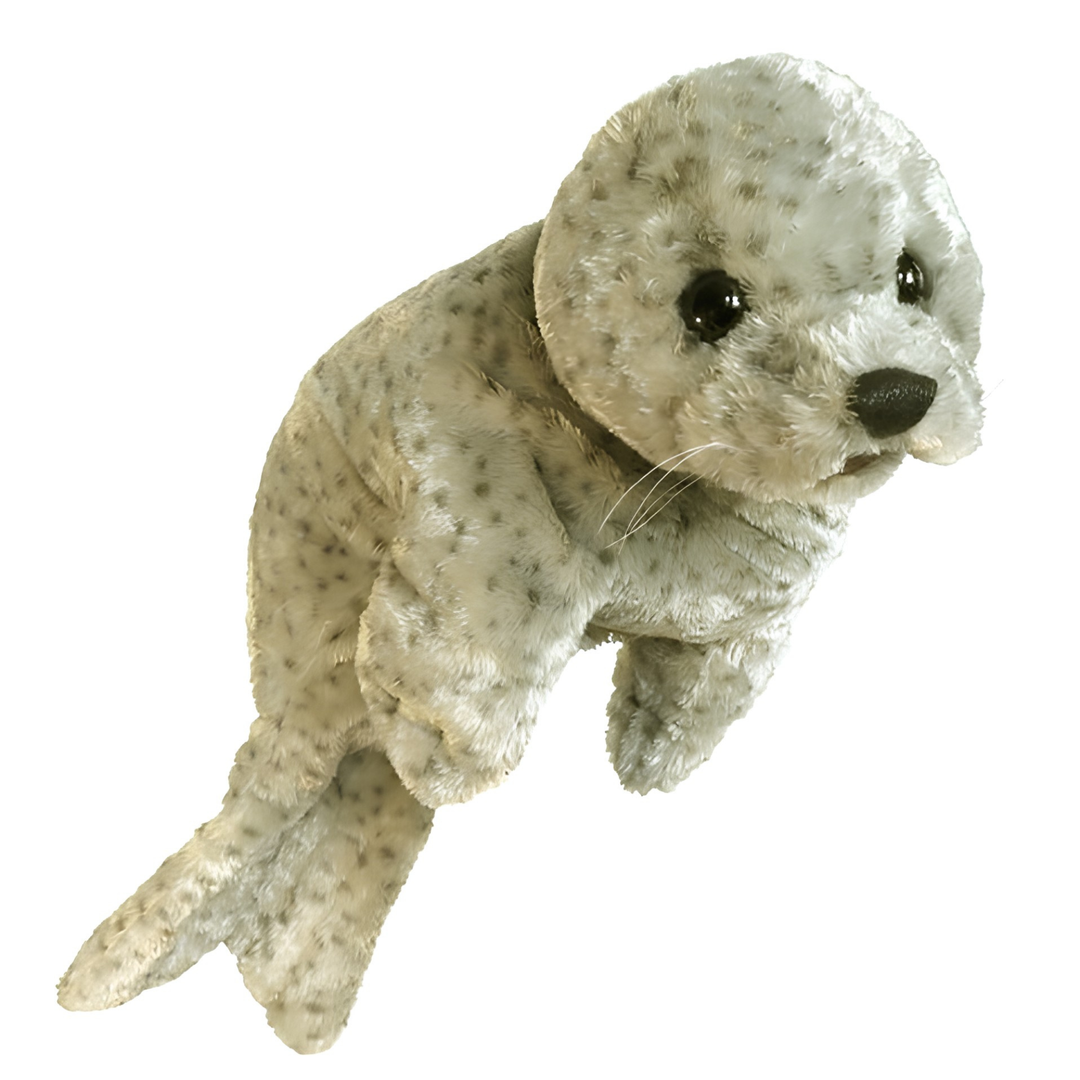 Harbor Seal