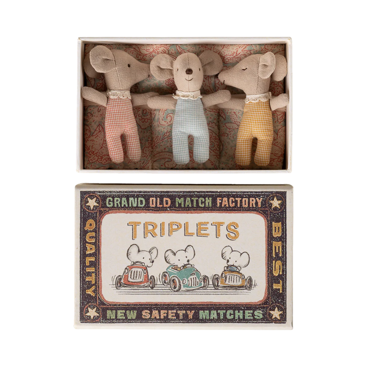 Triplets, Baby mice in matchbox