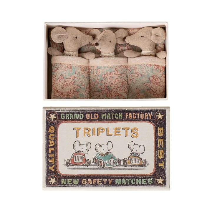 Triplets, Baby mice in matchbox