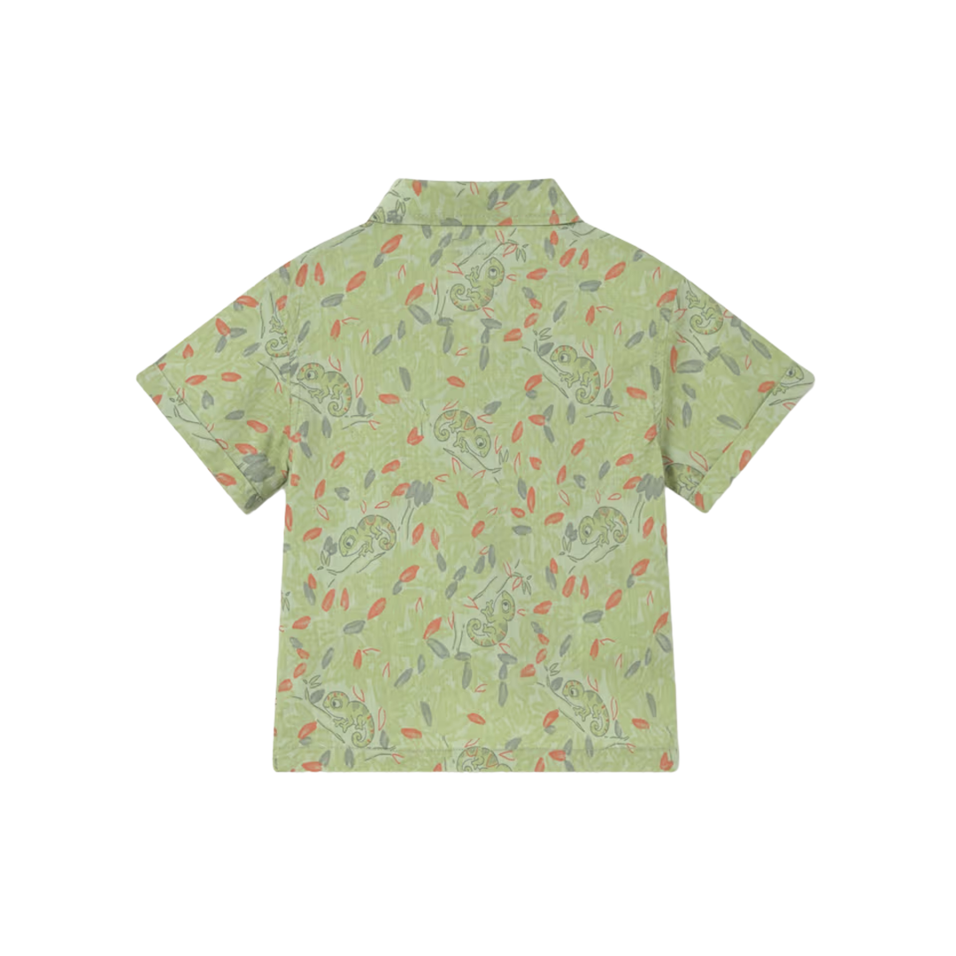 Printed Shirt - Matcha