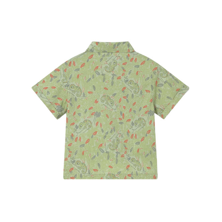 Printed Shirt - Matcha