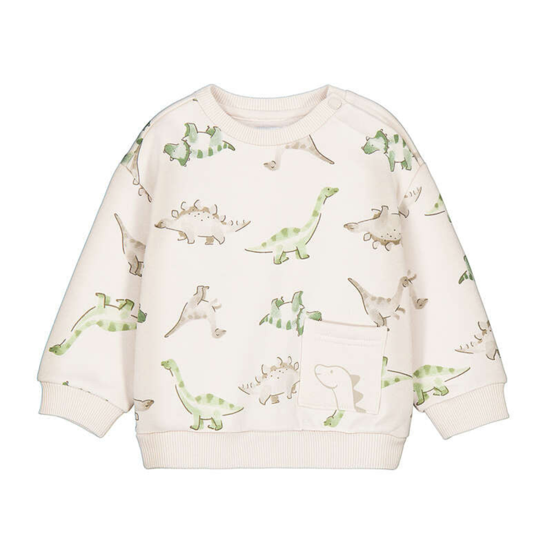 Dinosaur Pullover