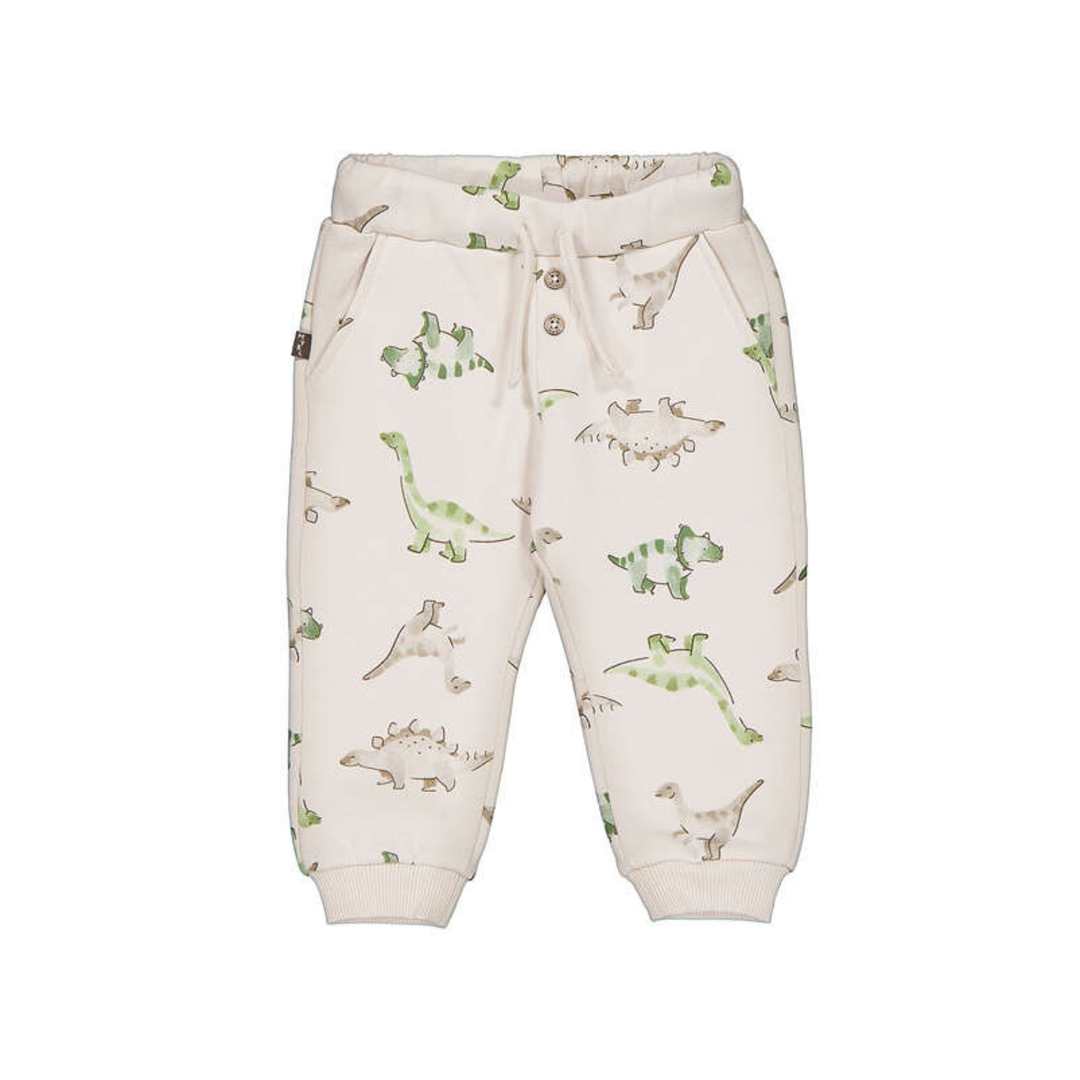 Dinosaur Pants