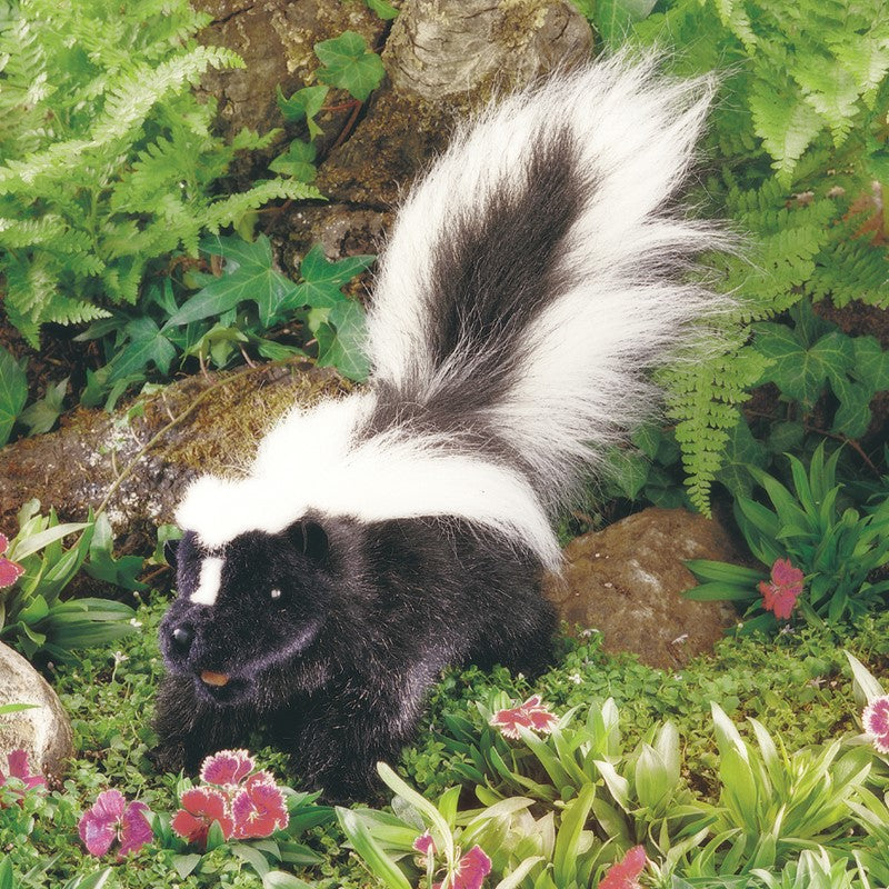 Skunk