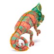 Small Chameleon