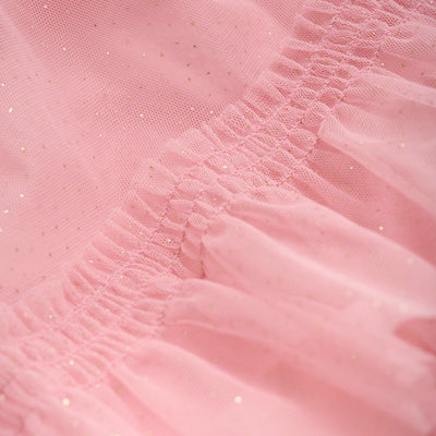 Rose Sparkly Mesh Dress