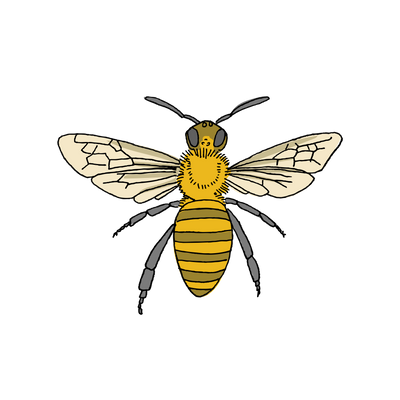 Honey Bee Tattoo Pair