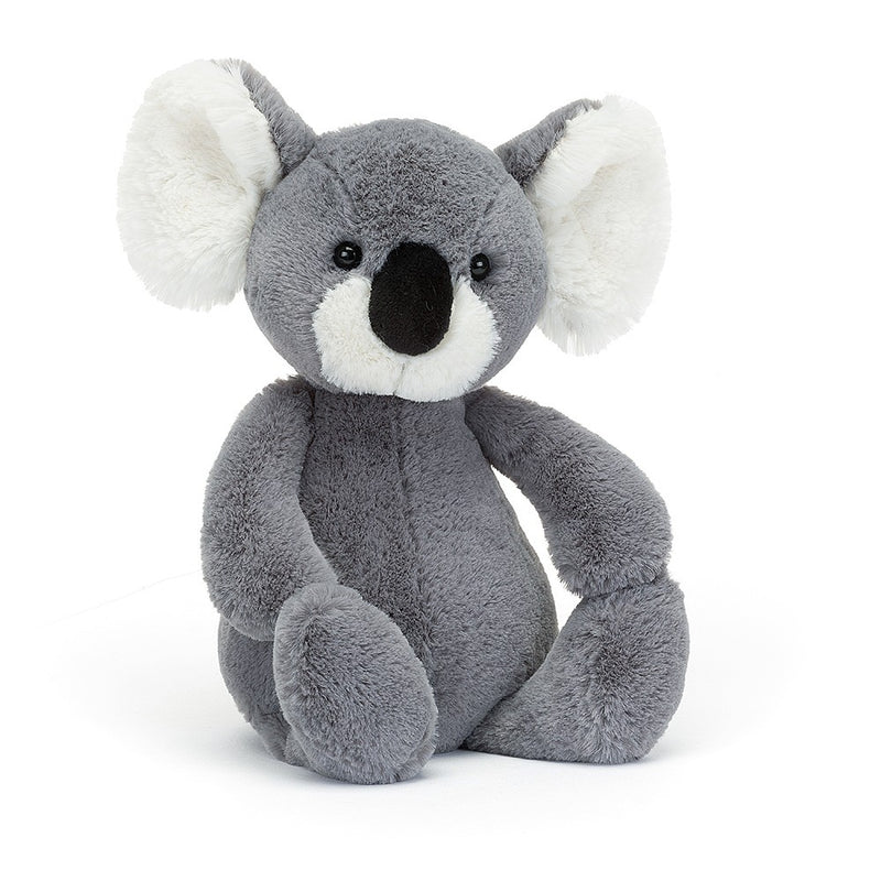 Bashful Koala
