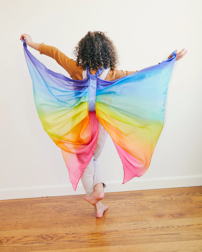 Silk Fairy Wings - Rainbow