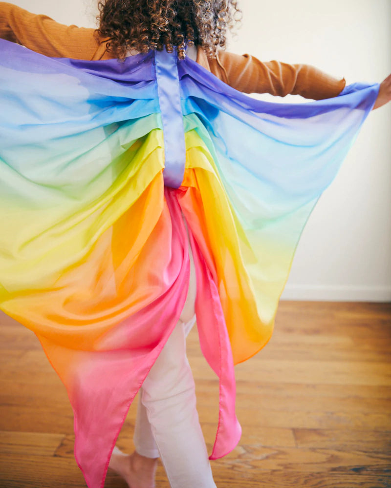 Silk Fairy Wings - Rainbow