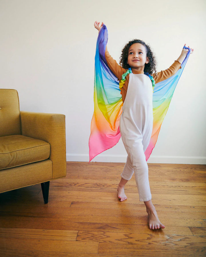 Silk Fairy Wings - Rainbow