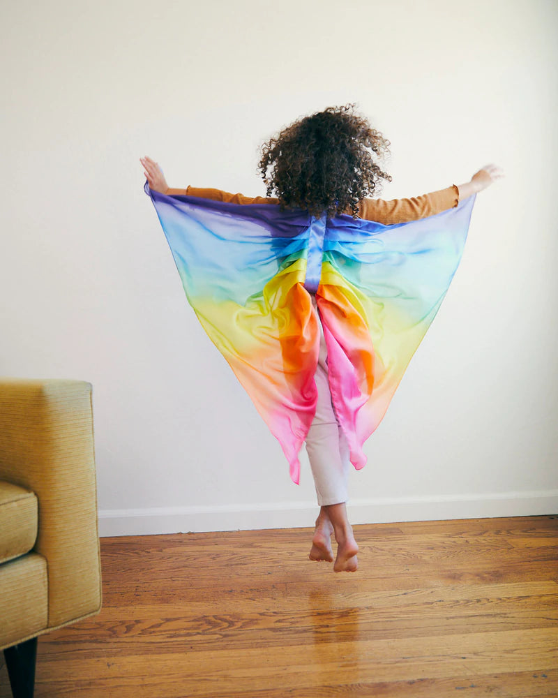 Silk Fairy Wings - Rainbow