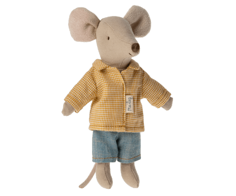 Big Brother Mouse in Matchbox