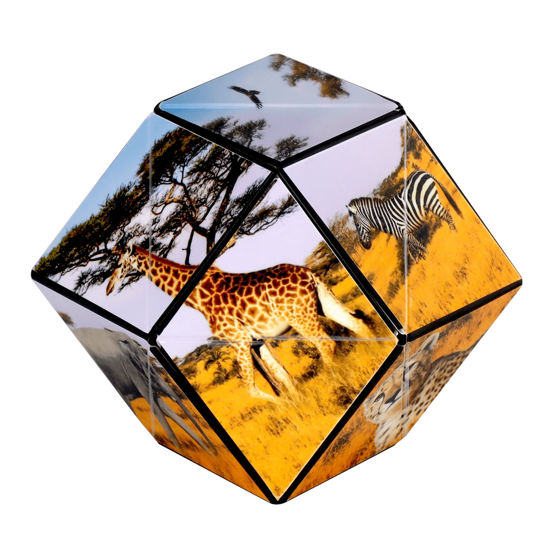 Shashibo - Savannah